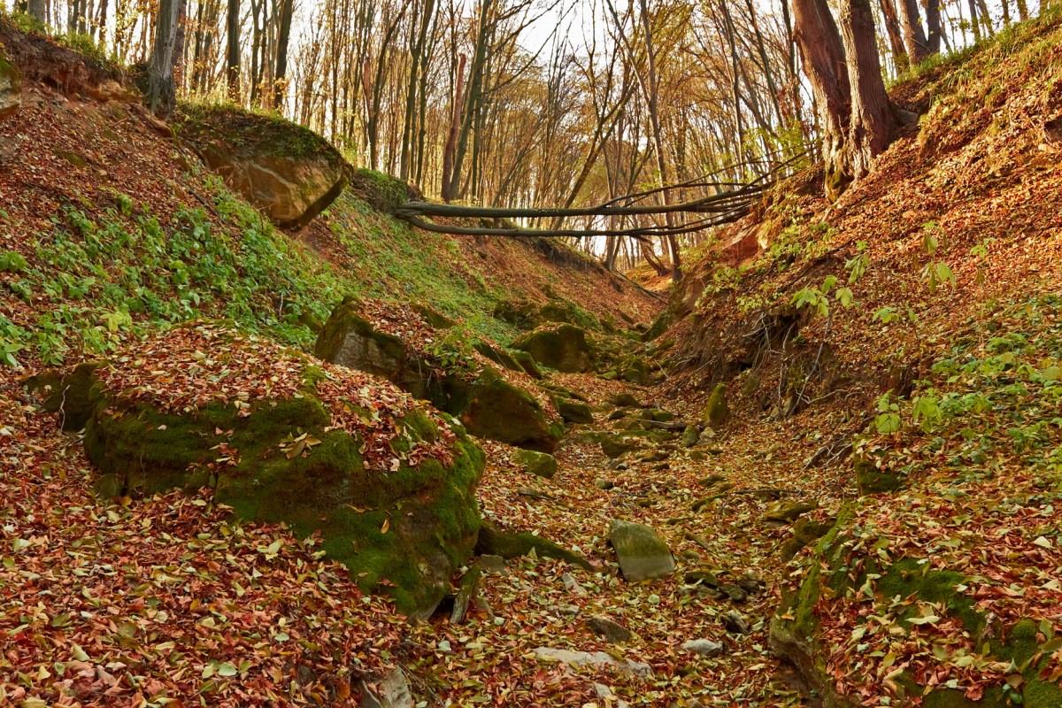 Gully erosion britannica oblast ukraine kharkiv geology